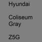 Preview: Hyundai, Coliseum Gray, Z5G.